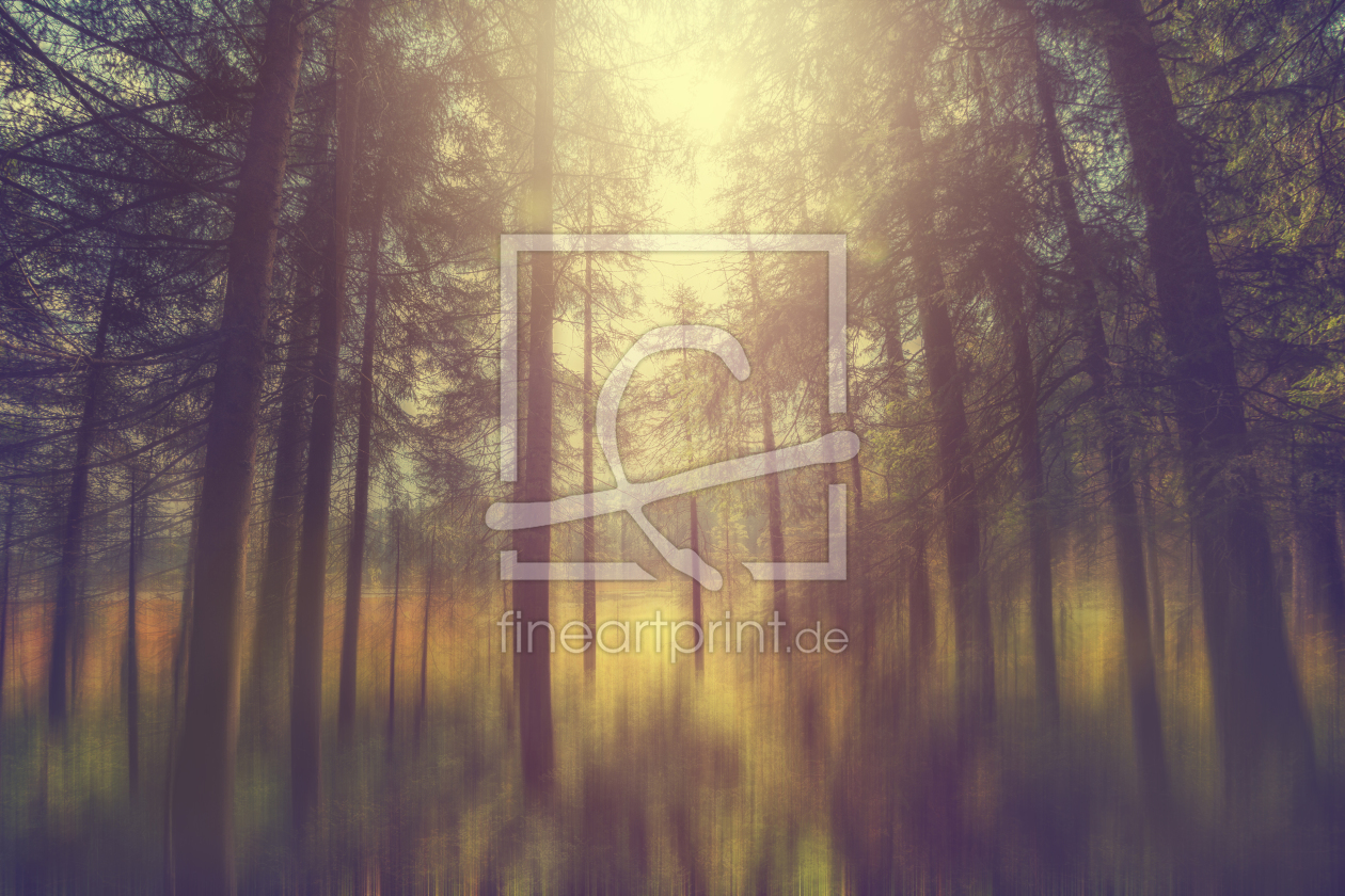 Bild-Nr.: 11951477 Mystischer Wald erstellt von SandraFotodesign