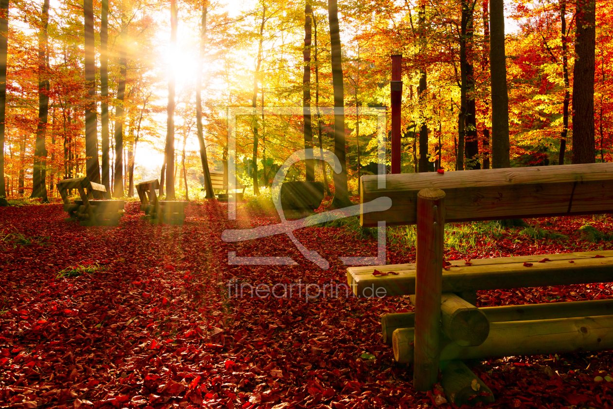 Bild-Nr.: 11952501 Herbst Momente  erstellt von Dora-Pi-Art-Photographie