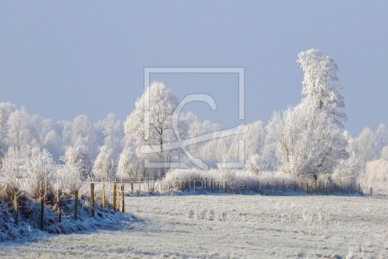 Bild-Nr.: 11953312 Wiesen und Felder erstellt von Ostfriese