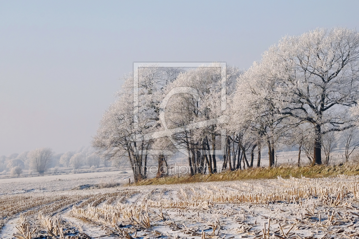 Bild-Nr.: 11953405 Frühes  Morgenlicht auf dem Feld erstellt von Ostfriese