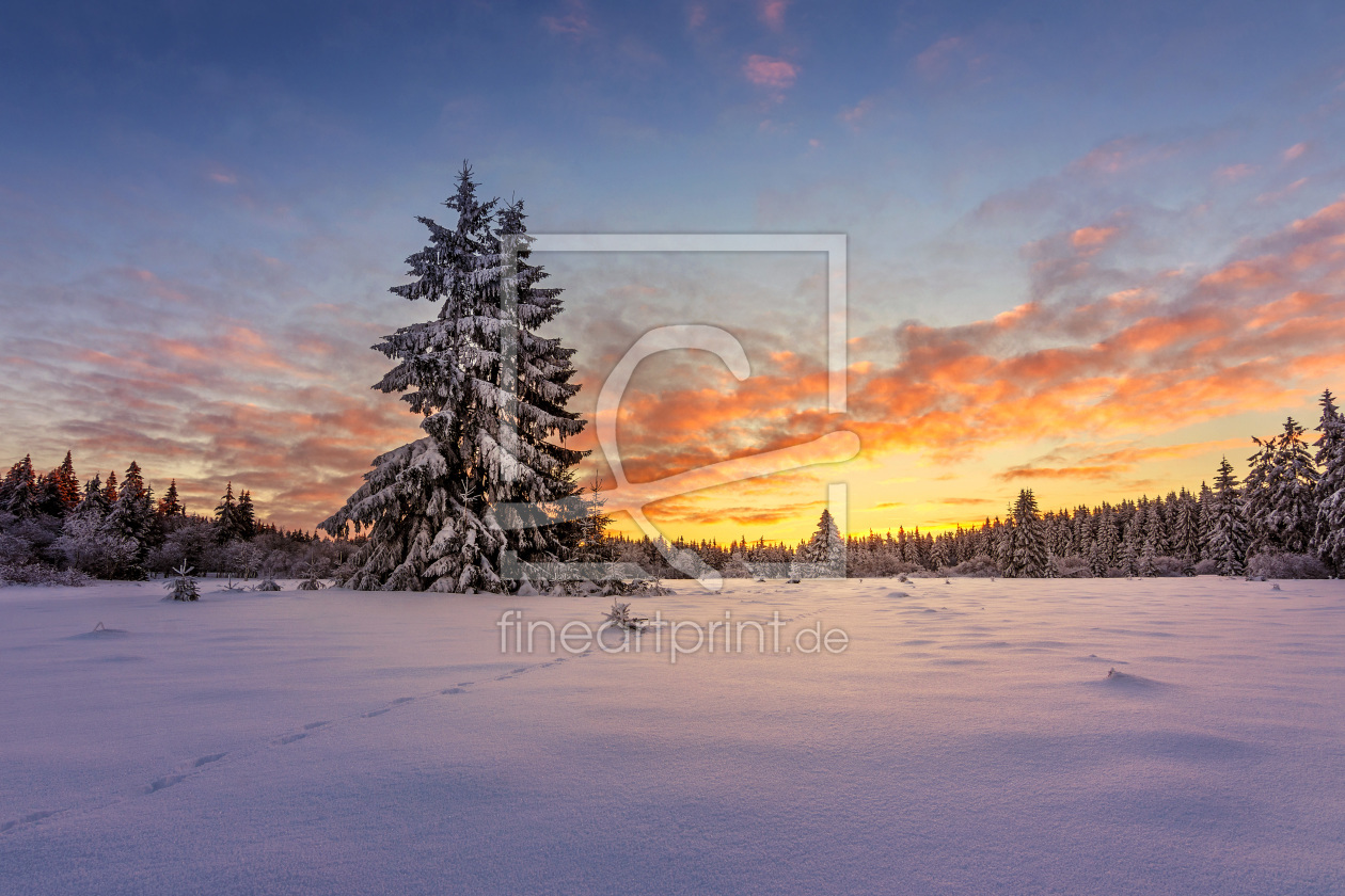 Bild-Nr.: 11953558 Hoher Meißner im Winterkleid erstellt von artmobe