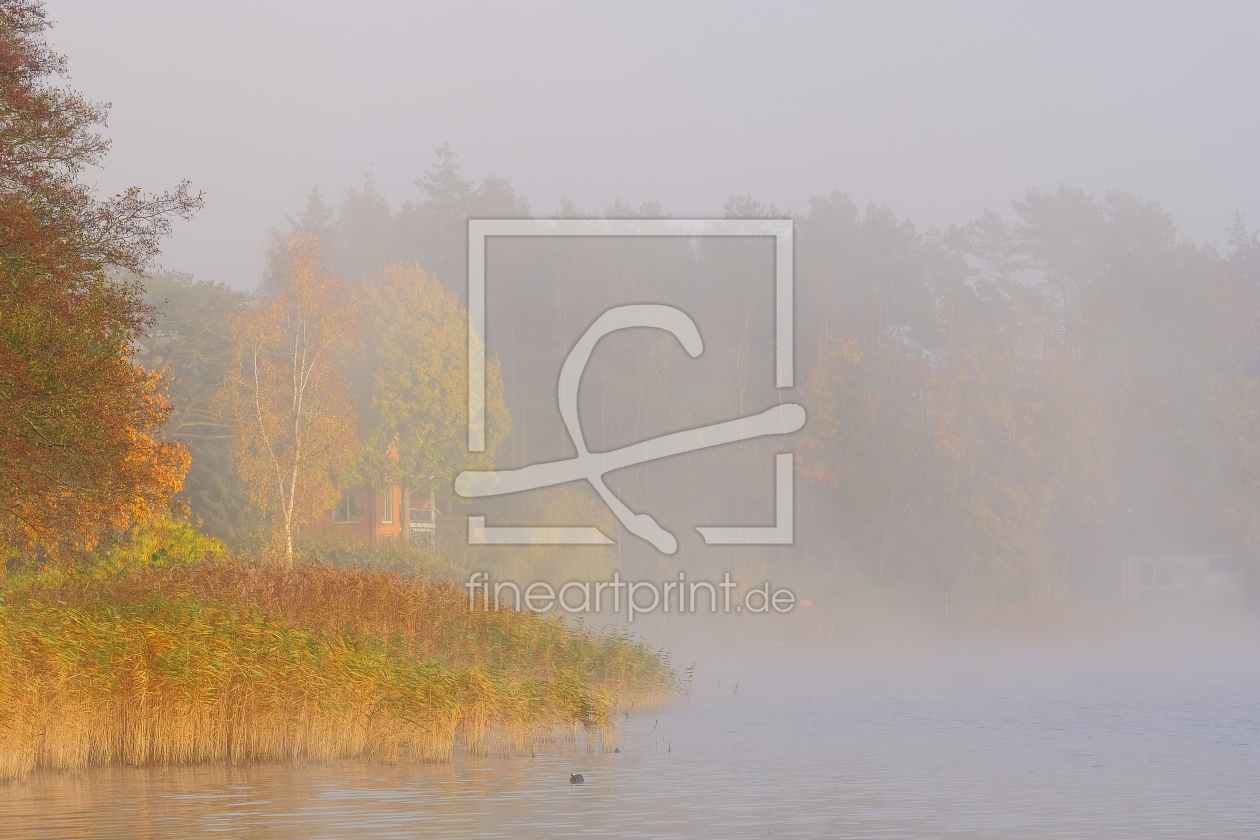 Bild-Nr.: 11953746 Nebel über dem See erstellt von Ostfriese