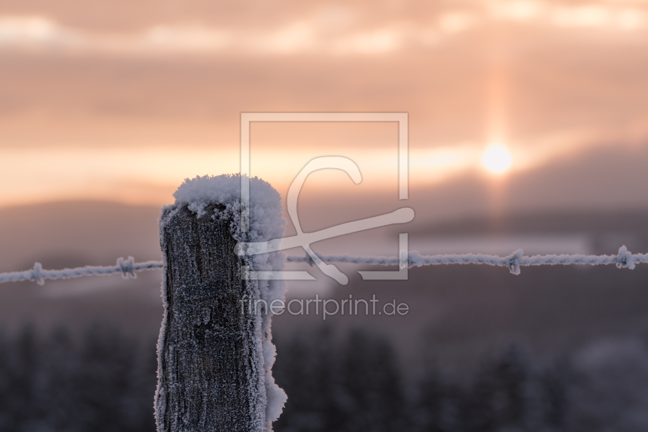 Bild-Nr.: 11956353 Wintermorgen erstellt von Dora-Pi-Art-Photographie