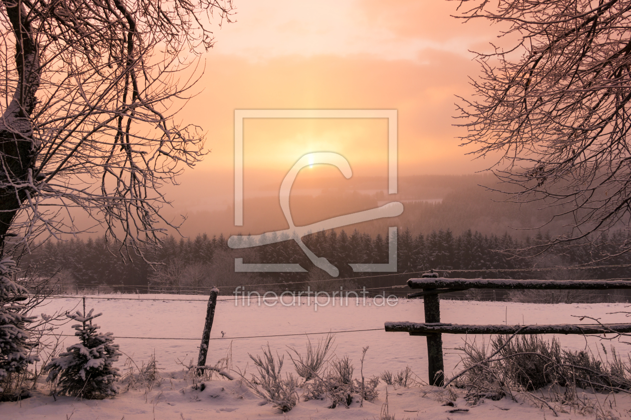 Bild-Nr.: 11956355 Wintertag erstellt von Dora-Pi-Art-Photographie