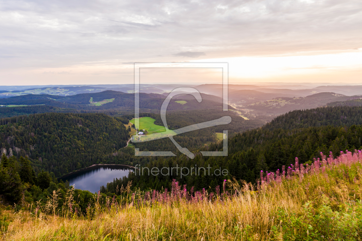 Bild-Nr.: 11956446 Sonnenaufgang am Feldberg im Schwarzwald erstellt von dieterich