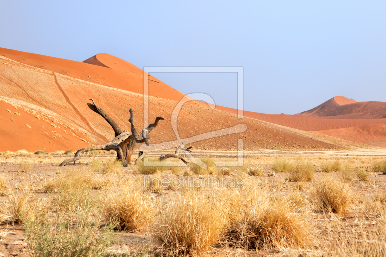 Bild-Nr.: 11957066 Dünen in der Namib erstellt von DirkR