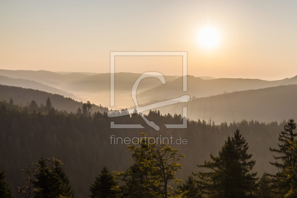 Bild-Nr.: 11957505 Schliffkopf im Schwarzwald erstellt von dieterich