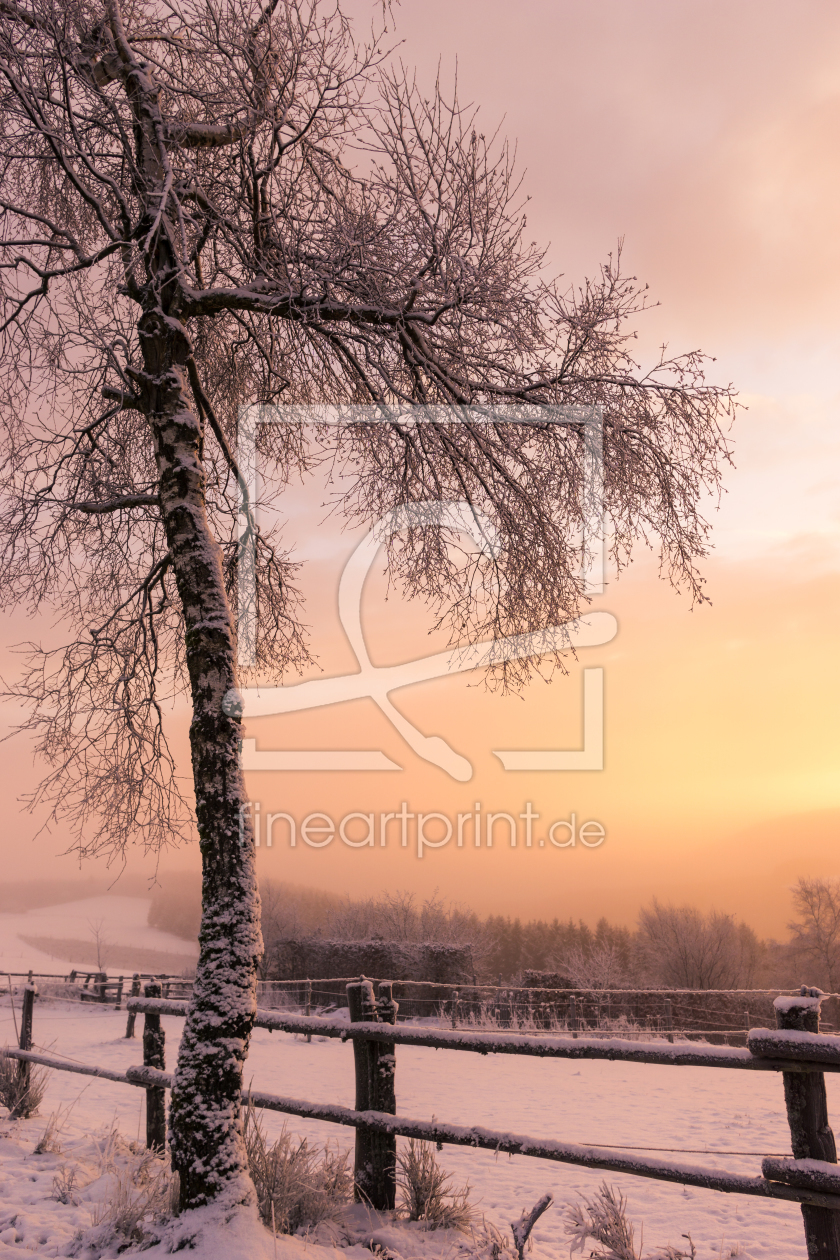 Bild-Nr.: 11957917 Wintersonne erstellt von Dora-Pi-Art-Photographie