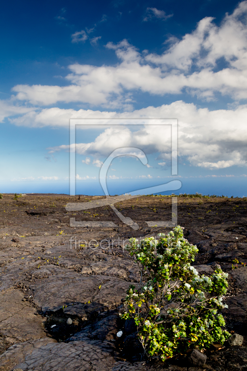 Bild-Nr.: 11957947 Hawaii Volcanoes National Park erstellt von DirkR