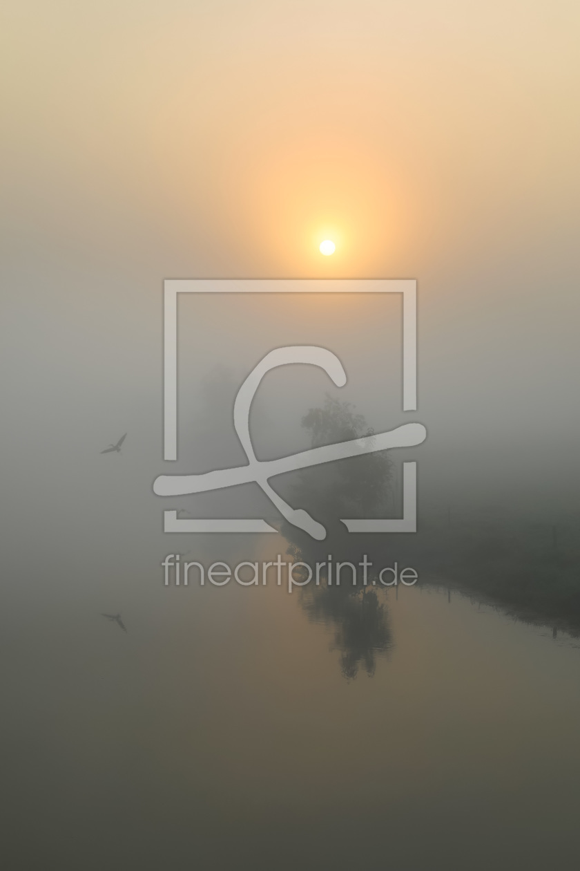 Bild-Nr.: 11962795 Vogelflug im Nebel erstellt von falconer59