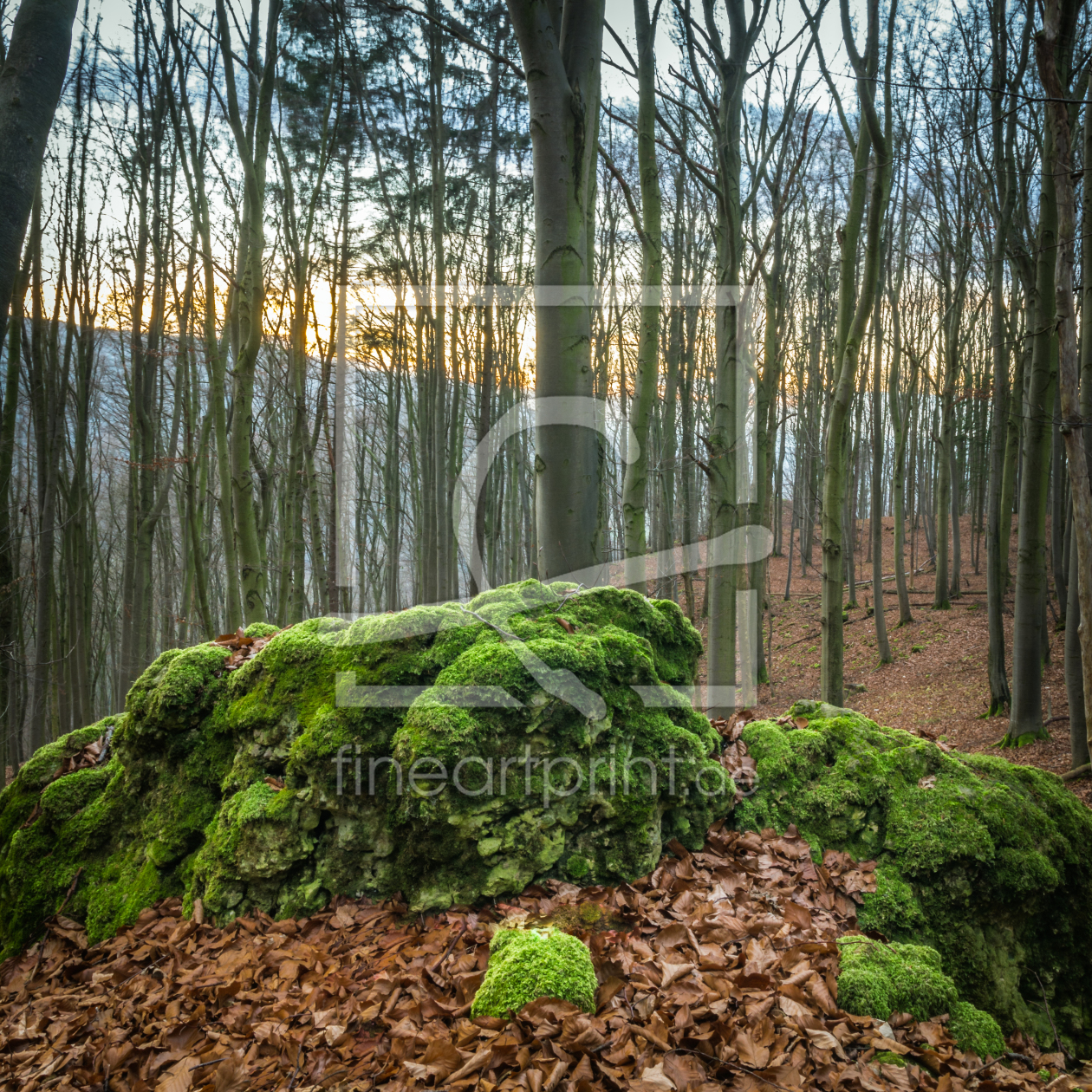 Bild-Nr.: 11965090 Moos-Felsen erstellt von luxpediation
