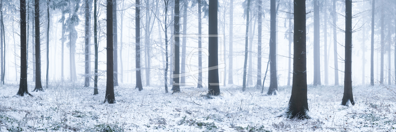Bild-Nr.: 11966156 Wald Panorama im Winter  erstellt von eyetronic