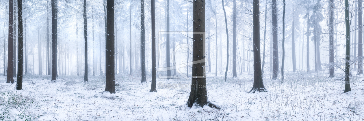 Bild-Nr.: 11966568 Wald Panorama im Winter  erstellt von eyetronic