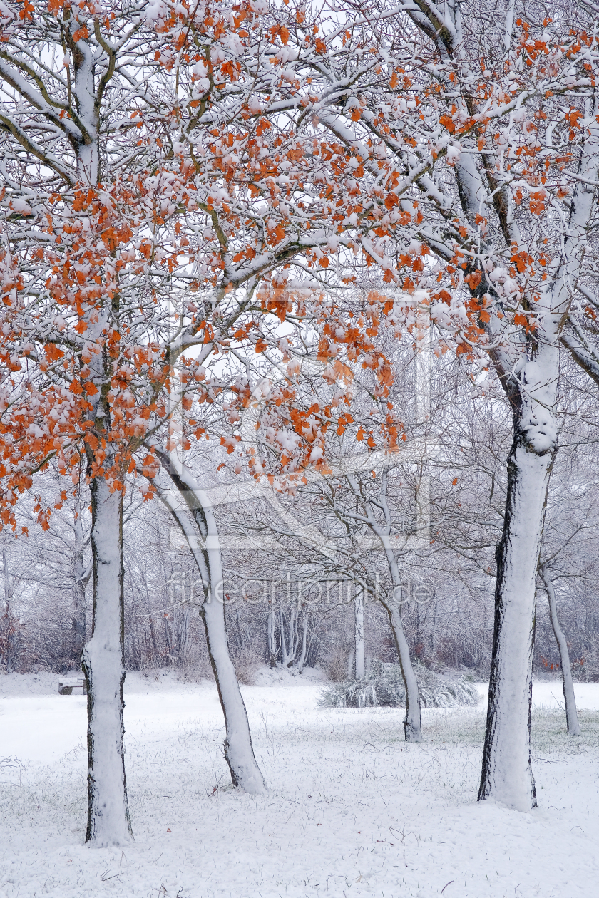 Bild-Nr.: 11967146 Schneebäume erstellt von Ostfriese