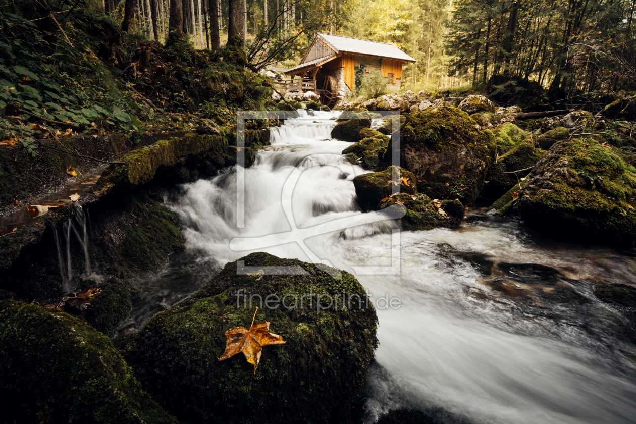 Bild-Nr.: 11967292 Gollinger Wassermühle erstellt von AlenaTerbachFotografie