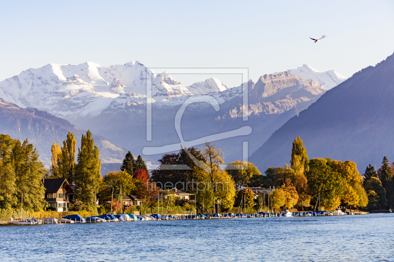 Bild-Nr.: 11969965 Berge der Jungfrau-Region und Thun im Herbst  erstellt von dieterich