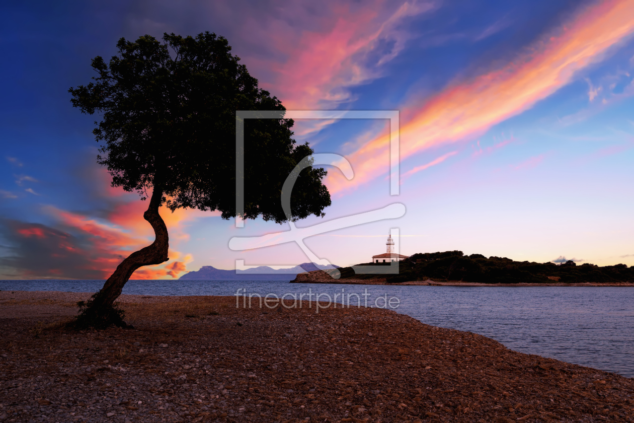 Bild-Nr.: 11970592 Alcanada Sonnenuntergang Mallorca Leuchtturm Baum erstellt von Thomas Herzog