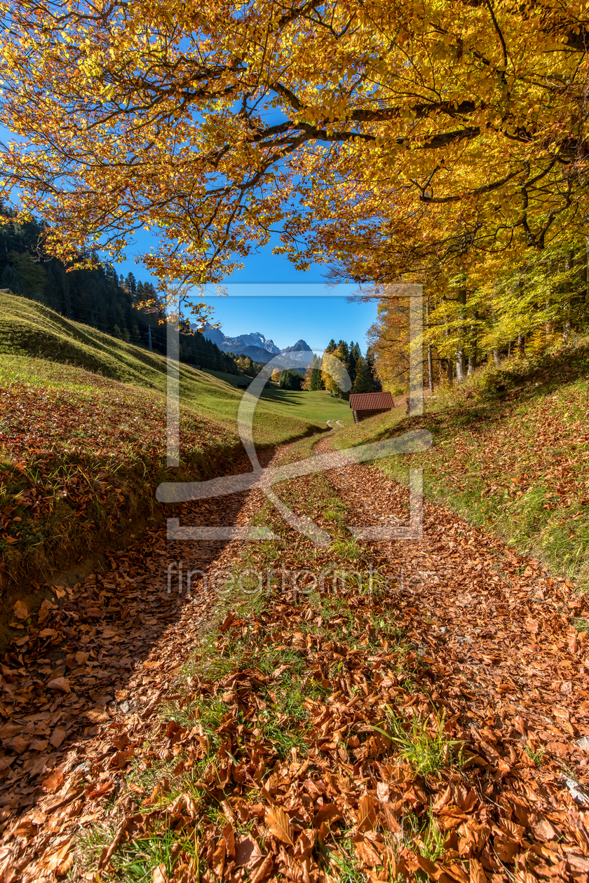 Bild-Nr.: 11970731 Herbst in Oberbayern erstellt von Achim Thomae