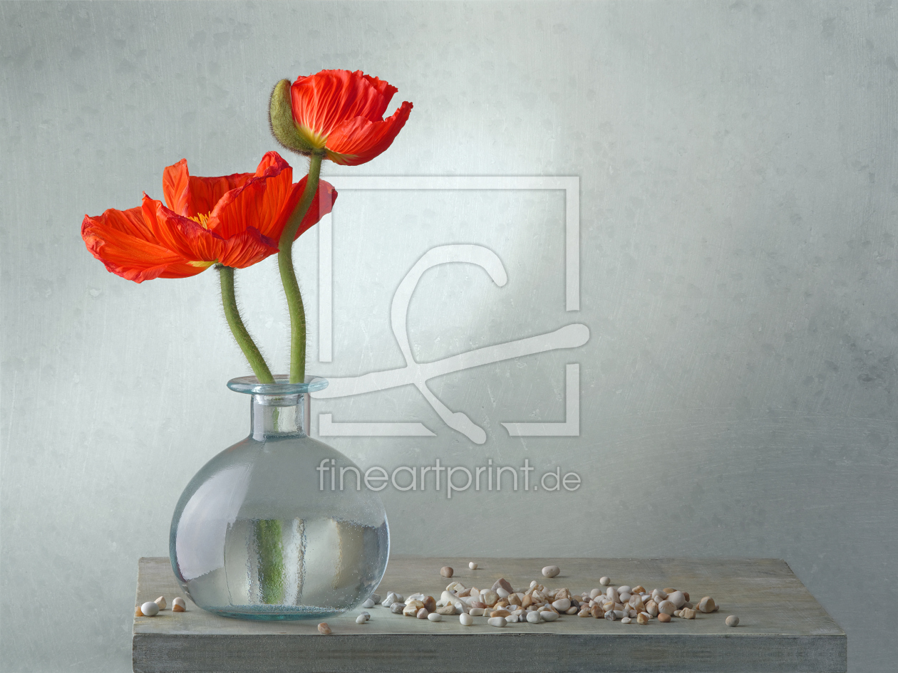 Bild-Nr.: 11970820 still life with poppy Mohn erstellt von Rolf Eschbach