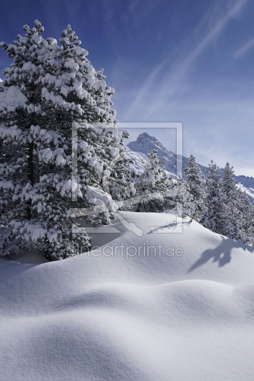 Bild-Nr.: 11971004 Winterwald im Engadin erstellt von Ralf Nemeth