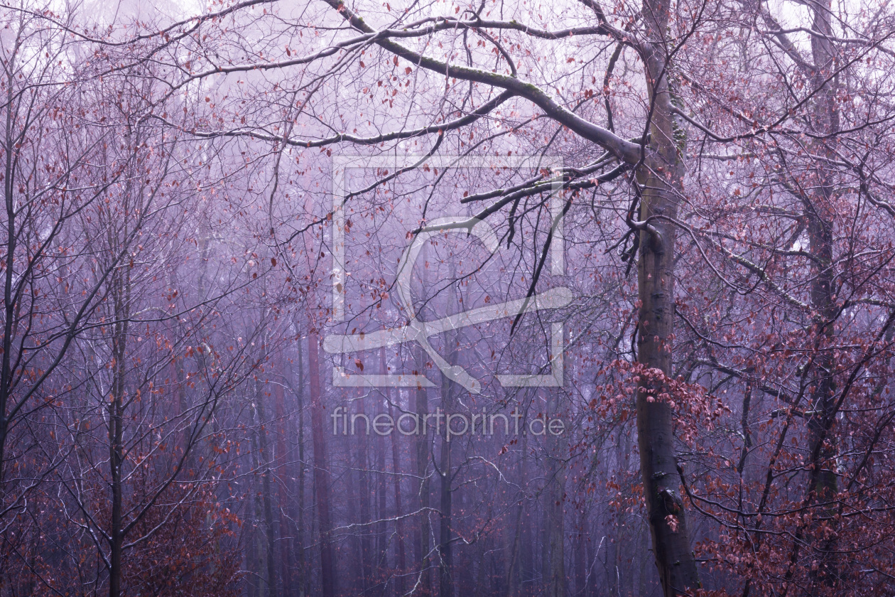 Bild-Nr.: 11971018 Frosty Trees - eisblau  erstellt von luxpediation