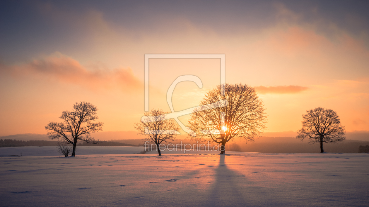 Bild-Nr.: 11972480 Sonnenaufgang im Winter erstellt von Steffen Henze