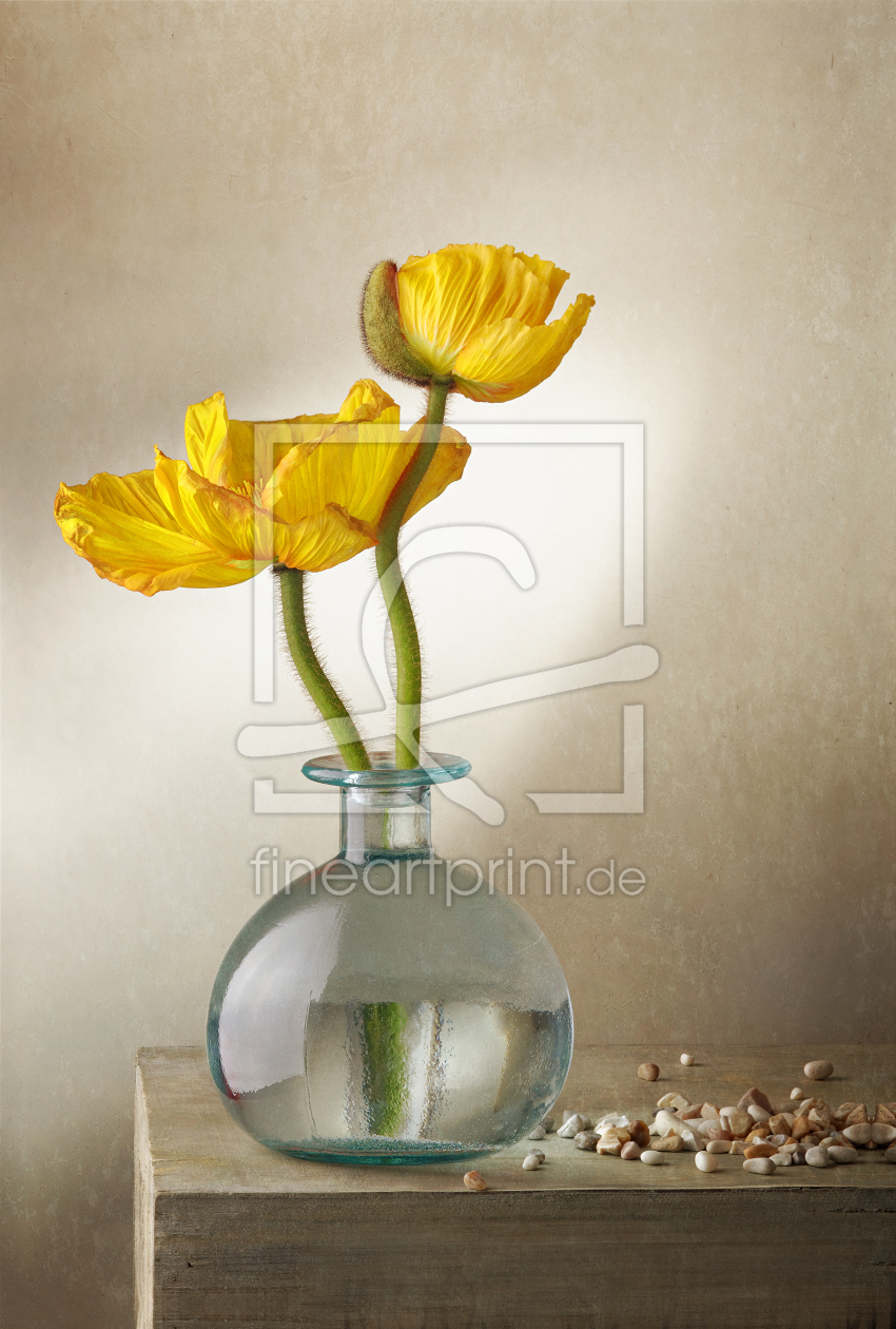 Bild-Nr.: 11973855 still life with poppy erstellt von Rolf Eschbach