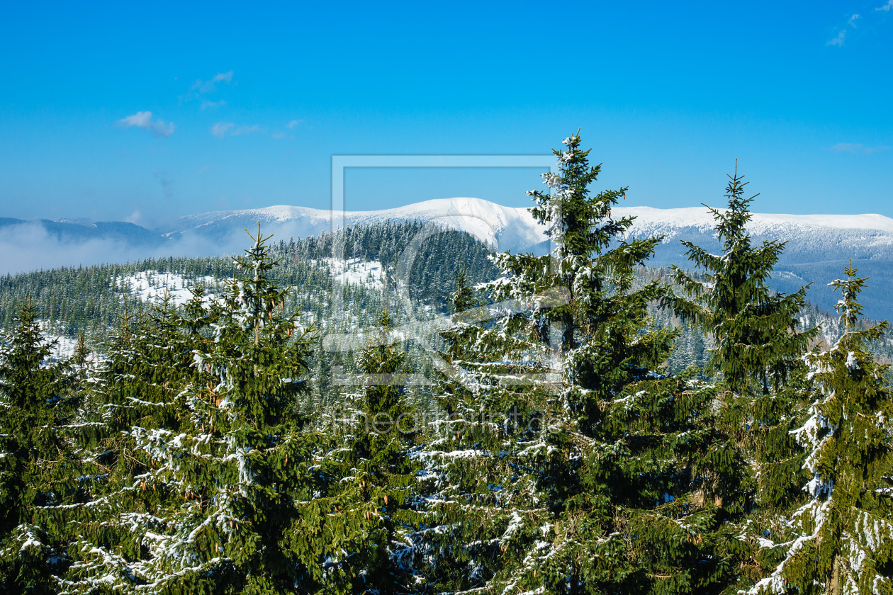 Bild-Nr.: 11973965 Winter im Riesengebirge erstellt von Rico Ködder