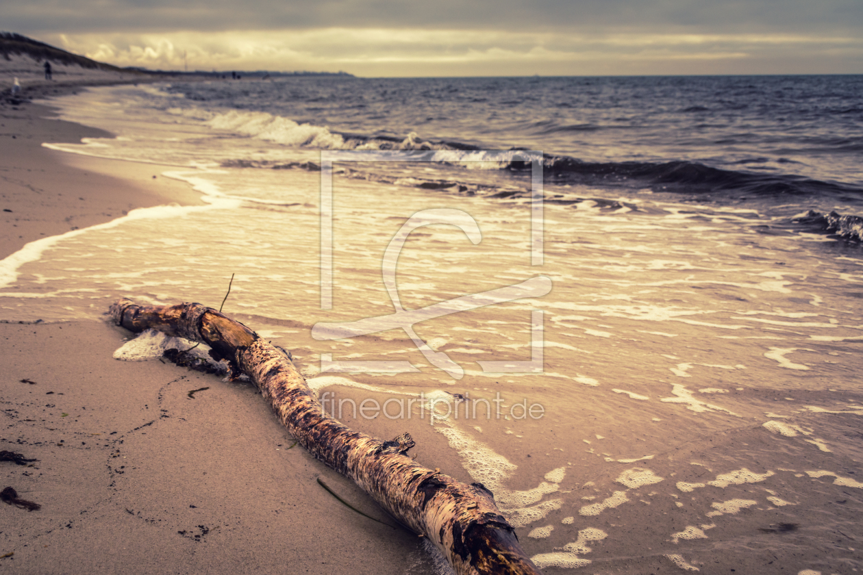 Bild-Nr.: 11975378 Strand am Darß erstellt von luxpediation
