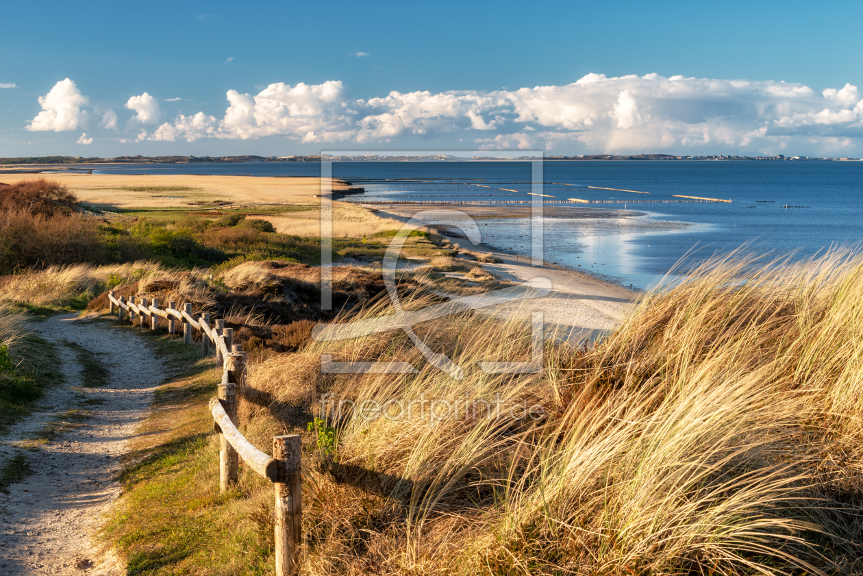 Bild-Nr.: 11976432 Natur pur auf Sylt erstellt von Nordbilder