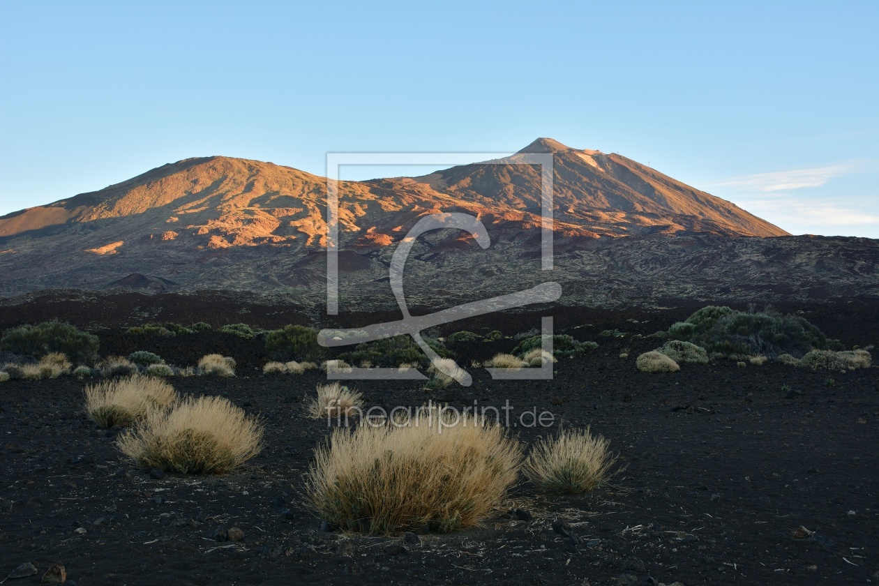 Bild-Nr.: 11976565 Teneriffa -  Morgenstimmung am Teide erstellt von johafoto