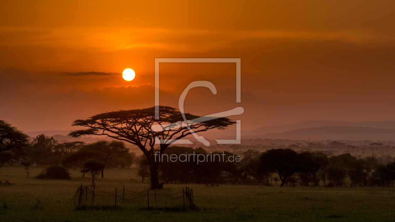 Bild-Nr.: 11976813 Sonnenuntergang in der Serengeti erstellt von KundenNr-291254