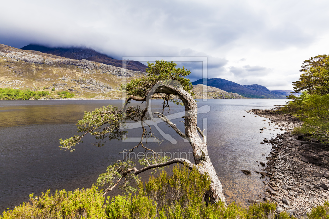 Bild-Nr.: 11977126 Loch Maree in den Highlands in Schottland erstellt von dieterich