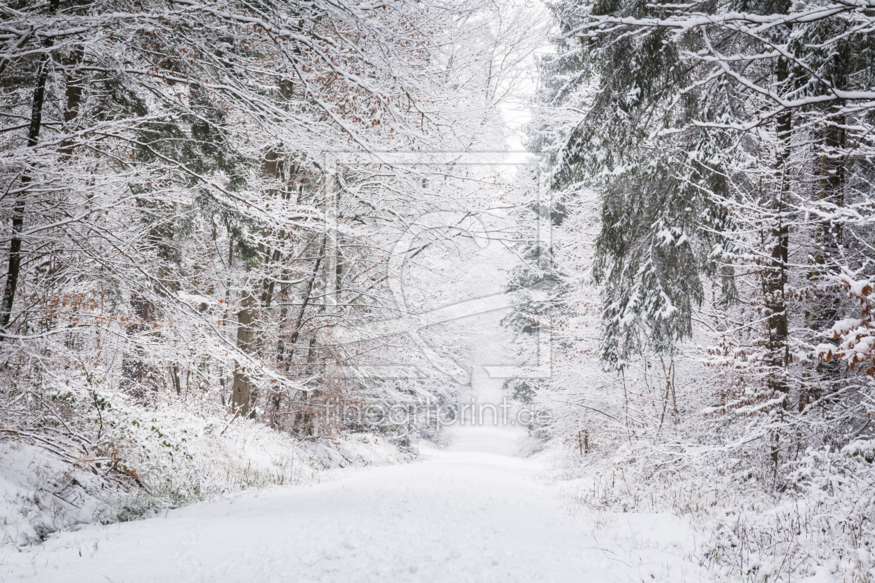 Bild-Nr.: 11977233 Weg im Schnee erstellt von luxpediation