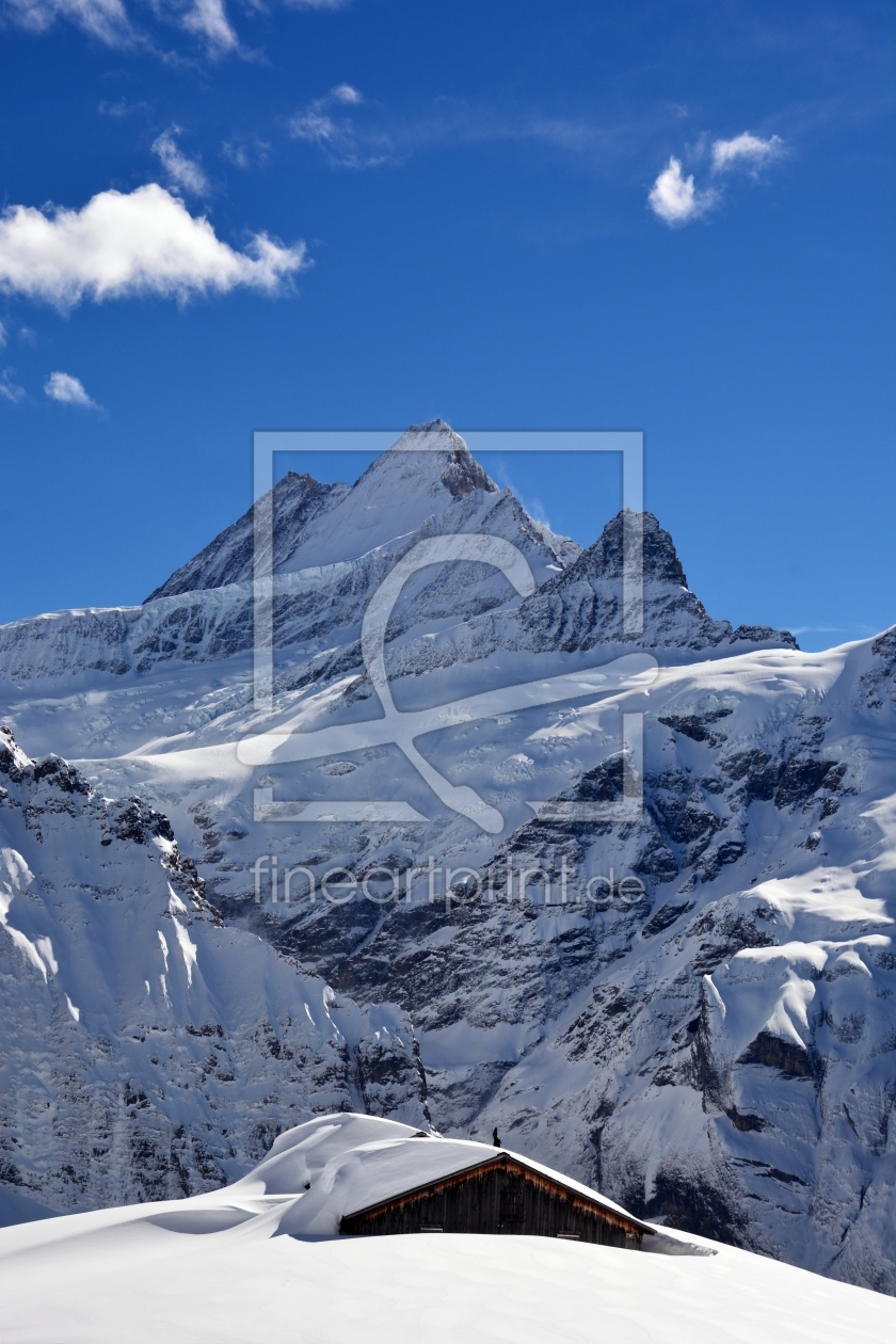 Bild-Nr.: 11977529 Schreckhorn mit Hütte erstellt von Bettina Schnittert