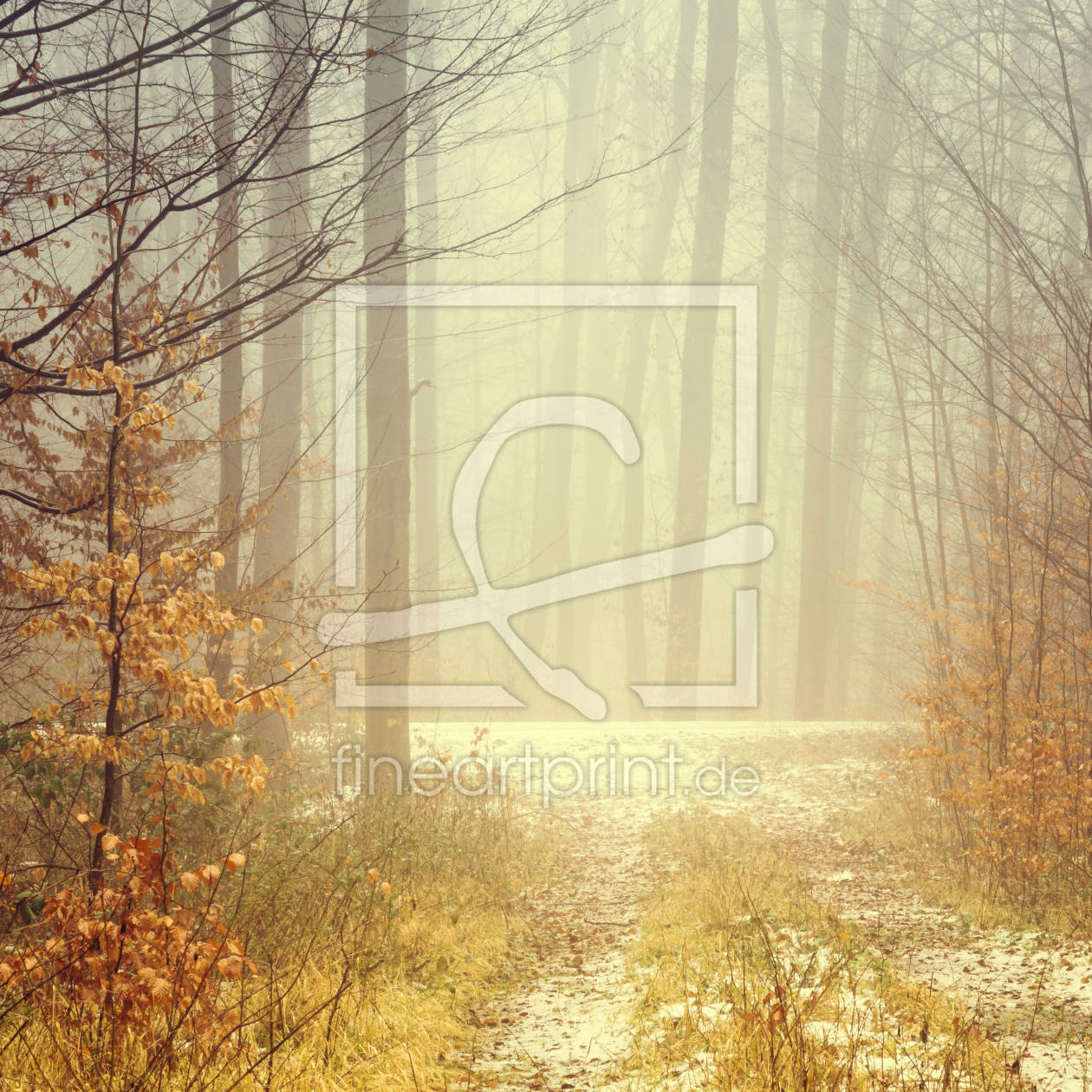 Bild-Nr.: 11977598 Nebel - Natur Meditation der Stille erstellt von luxpediation