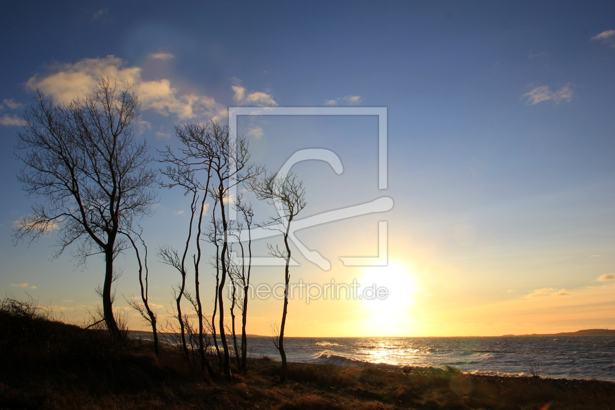 Bild-Nr.: 11978099 Abendstimmung erstellt von Ostseestrand