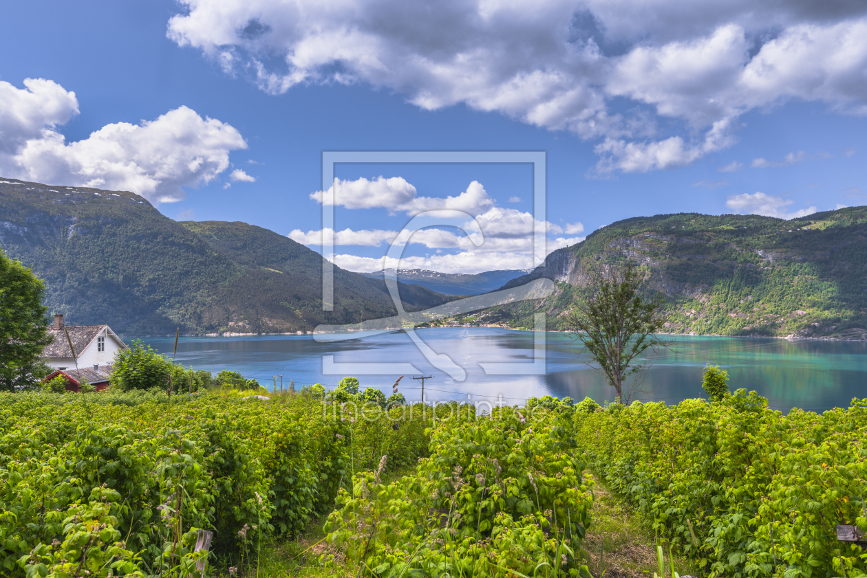 Bild-Nr.: 11978891 Blick über den Fjord - Norwegen erstellt von KundenNr-160338