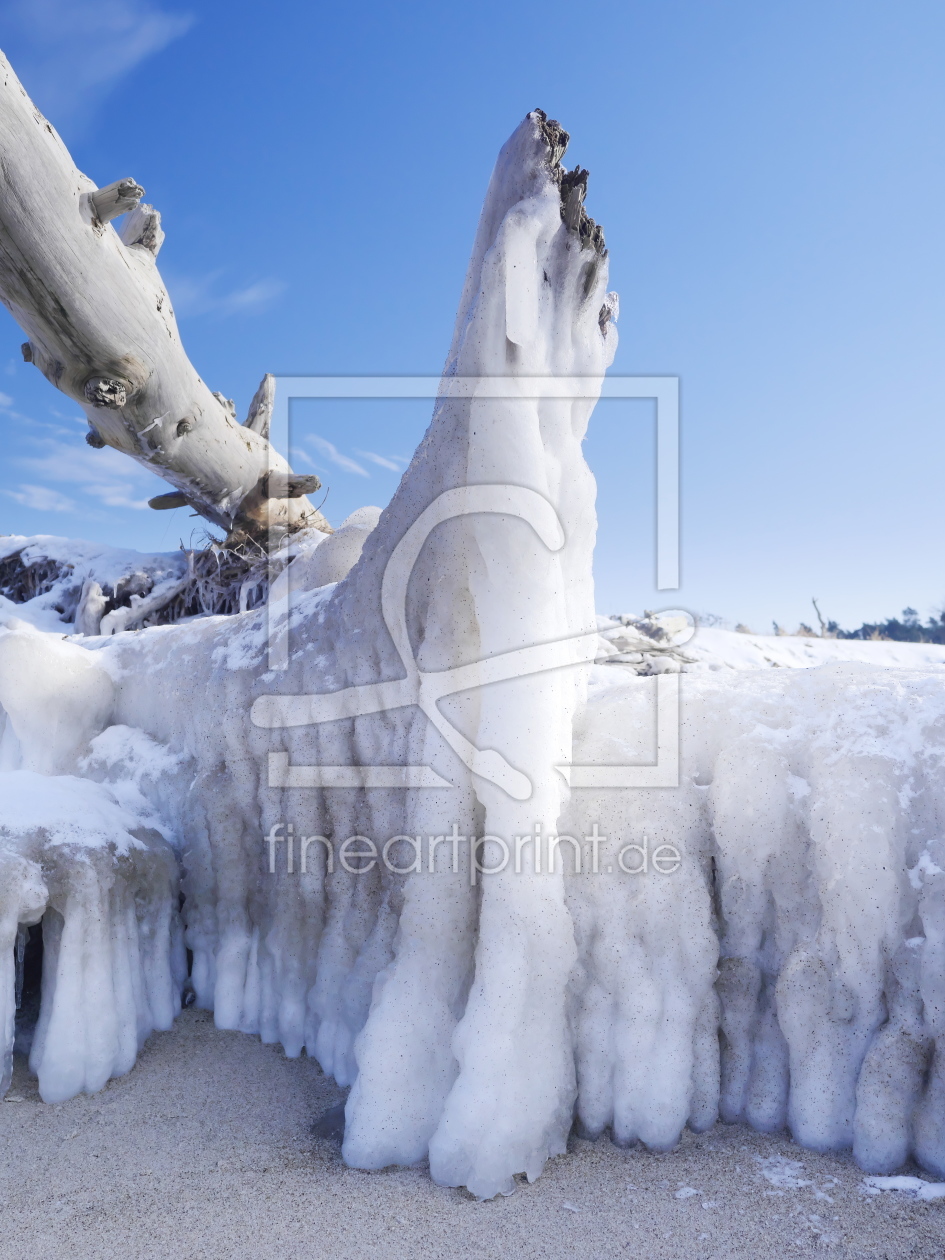 Bild-Nr.: 11978979 Baumstamm mit Eis am Darßer Weststrand erstellt von dresdner