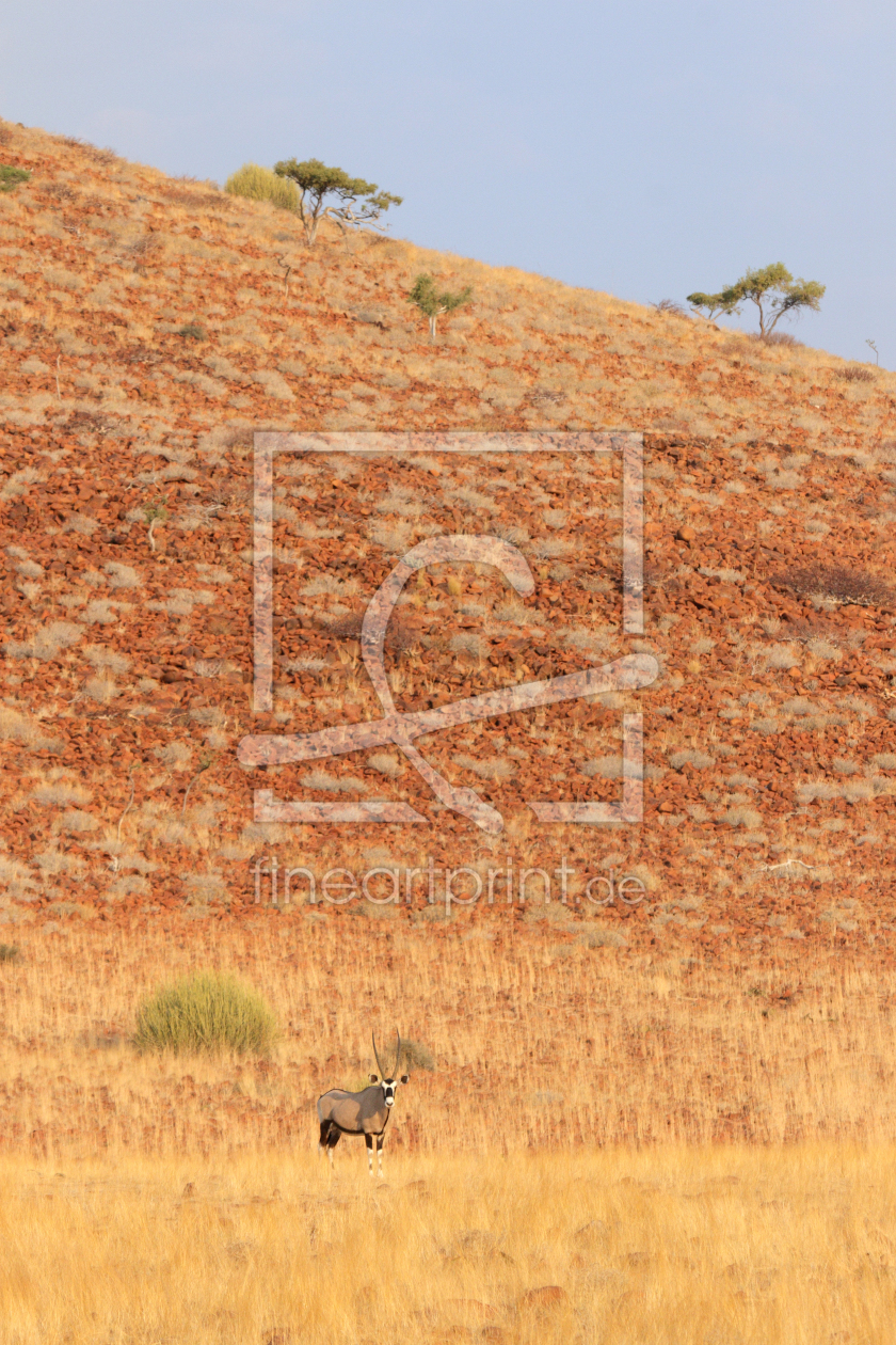 Bild-Nr.: 11981650 Oryx-Antilope erstellt von DirkR