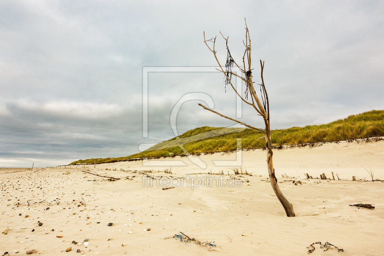 Bild-Nr.: 11982113 Strand auf Amrum erstellt von Rico Ködder