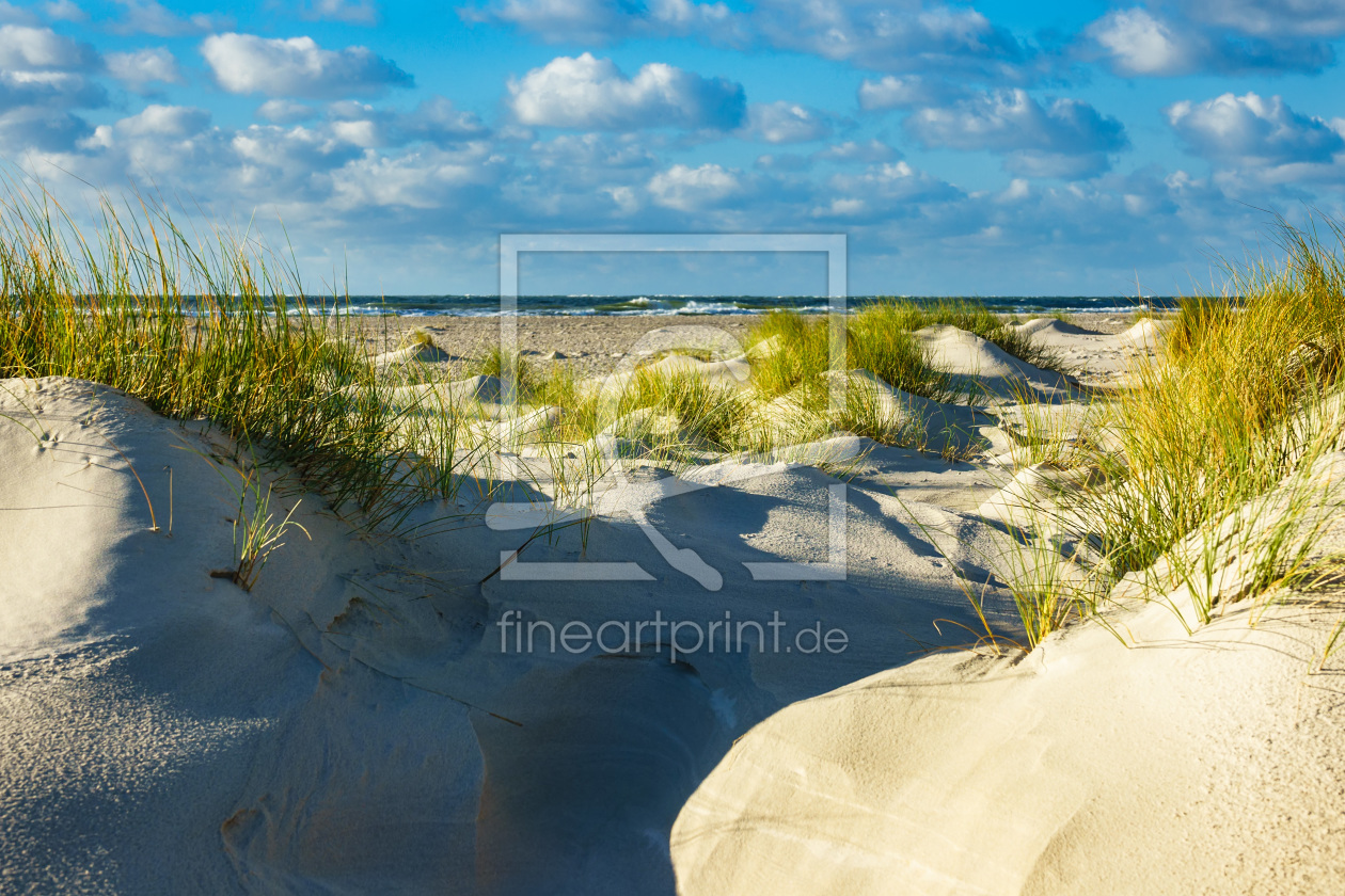 Bild-Nr.: 11982115 Landschaft mit Dünen auf der Insel Amrum erstellt von Rico Ködder