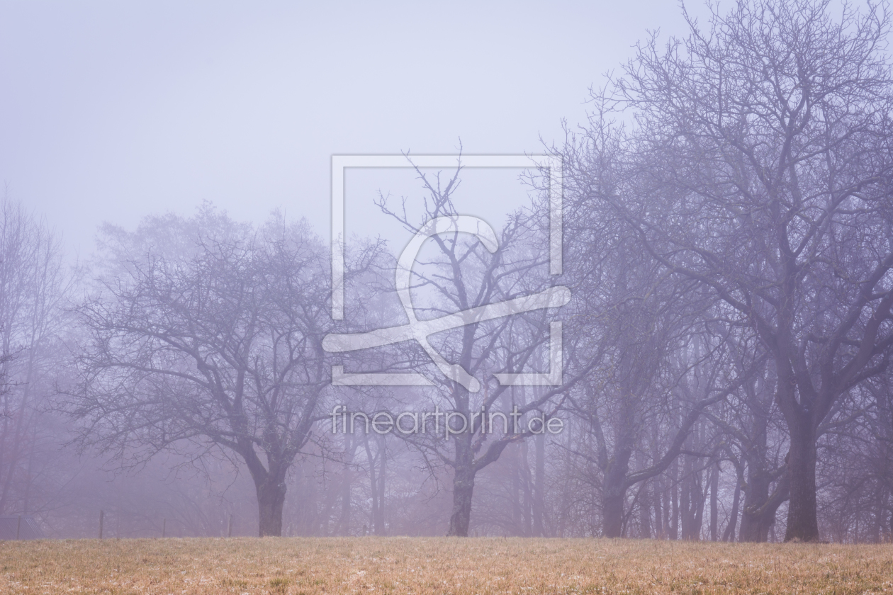 Bild-Nr.: 11982483 Baum-Landschaft Bild-Nr.: 11982483 Baum-Landschaft erstellt von luxpediation