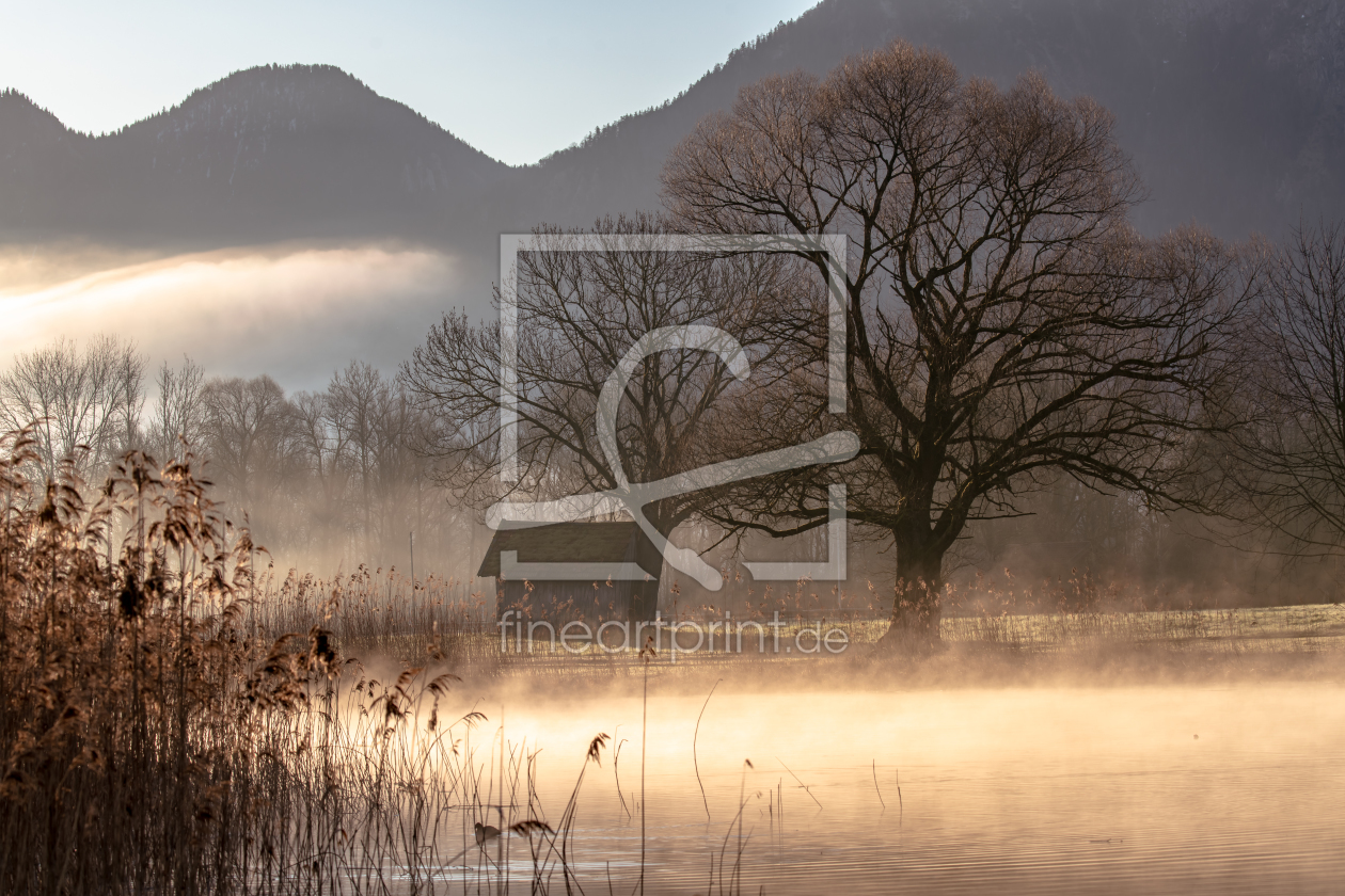 Bild-Nr.: 11982838 Frühnebel am Kochelsee erstellt von Achim Thomae