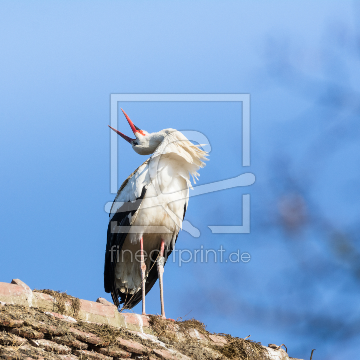 Bild-Nr.: 11983146 Klapperstorch Vogel im Frühling erstellt von luxpediation