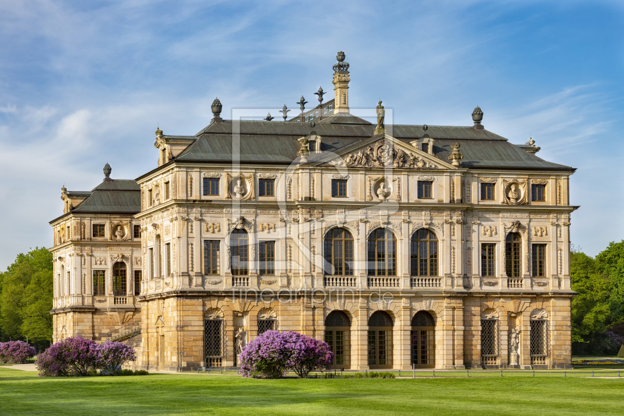 Bild-Nr.: 11986639 Fliederblüte am Palais  erstellt von Daniela Beyer