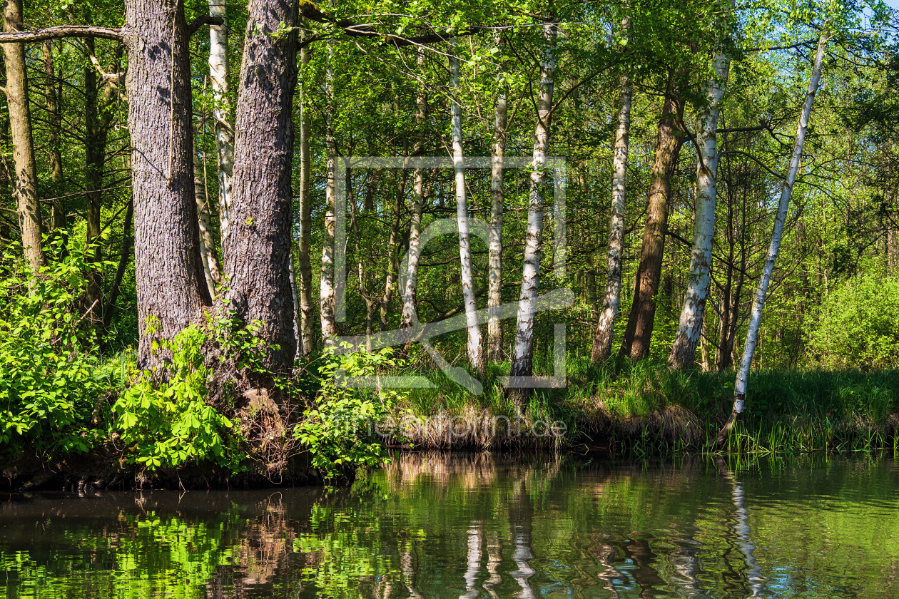 Bild-Nr.: 11986868 Landschaft im Spreewald bei Lübbenau erstellt von Rico Ködder