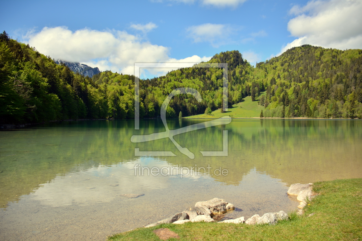 Bild-Nr.: 11987228 Frühling am Alatsee erstellt von GUGIGEI