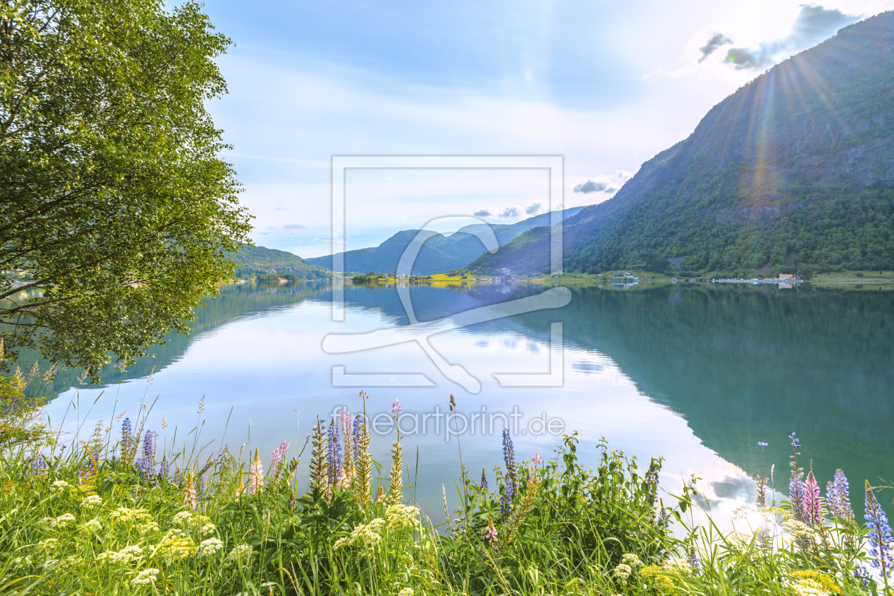 Bild-Nr.: 11987777 Lupinen am Fjord - Norwegen erstellt von KundenNr-160338