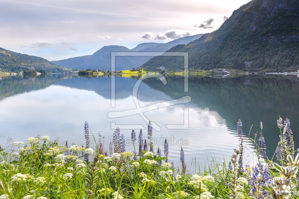 Bild-Nr.: 11987778 Fjordlandschaft im Sommer erstellt von KundenNr-160338